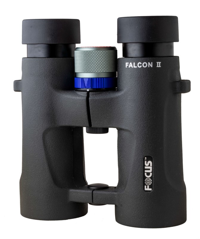 Focus Falcon II